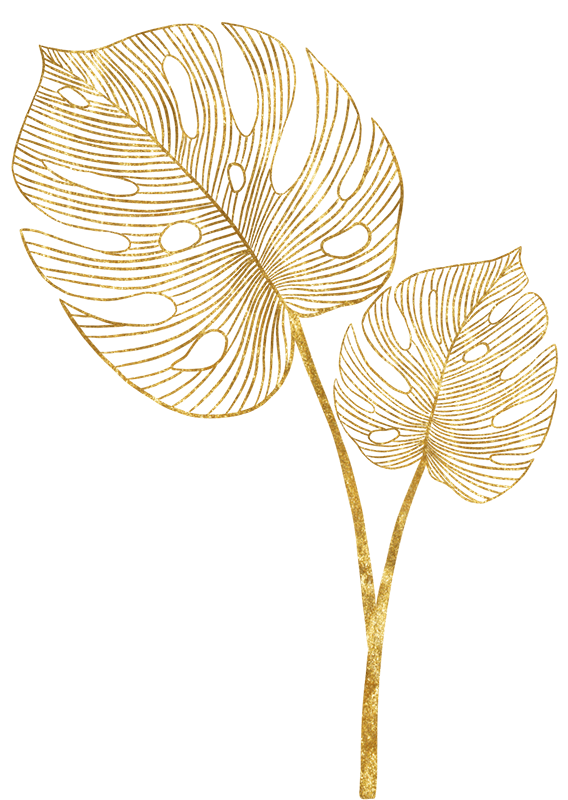 leaves illustration