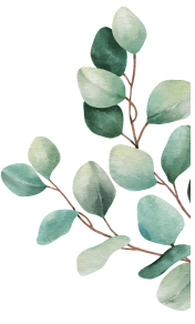 leaves illustration