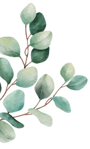 leaves illustration