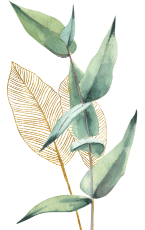 leaves illustration