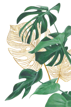 leaves illustration