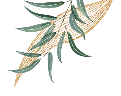 leaves illustration